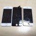 iPhone 5 5se три модуля с кнопкой домой и динамиком