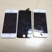 iPhone 5 5se три модуля с кнопкой домой и динамиком